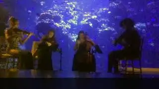 Eclecta Quartet LIVE at Academy of Science