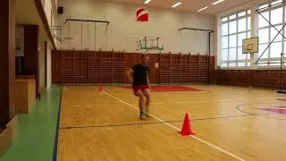 Člunkový běh