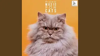 Kitty Dreams