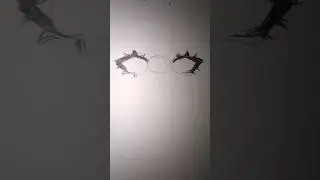 Eye Tutorial? #drawing #eyetutorial #drawingtutorial #sketch #fyp #shorts #feeds #tutorial #artist