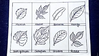 8 different types of leaves drawing easy|leaf drawing step by step|leaves drawing chart