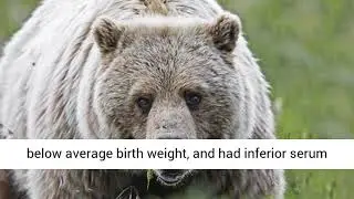 Neonatal Mortality of Elk in Wyoming: Environmental, Population,