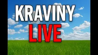 Pokec Stream - děl&aacute;me kraviny