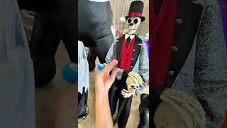 Spooky Scary Skeletons!