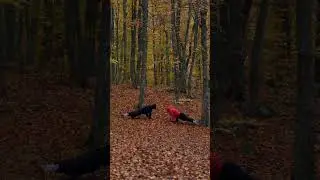 #успех #мышление #motivation #motivational #mindest #sports #mindet #rek #спорт #shortsvideo