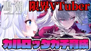 【鳴潮/wutheringwaves】初見さん歓迎！カルロッタガチ育成していく！【#vtuberjp 】