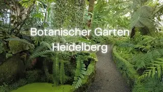 Kommt mit mir in den Botanischen Garten Heidelberg