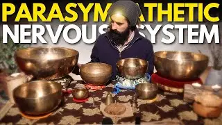 Parasympathetic Nervous System Healing Frequencies ⫸ 2-Hour Sound Bath Meditation Music