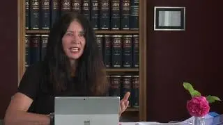 Sue Grey explaining some background about the Mum and Baby detained in MIQ