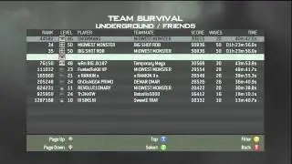 TheFknLord & BiGSH0TROB's Survival ranks