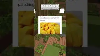Funny Memes! 