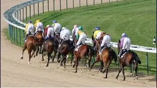 【MARSEILLE-VIVAUX】FRENCH HORSE RACE ANALYSIS - CHECK OUT ONE OF THE BEST ☆☆☆ TOO!!