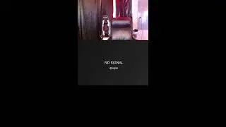 streaming until my wife kicks me off