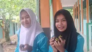 PCA~Tema: