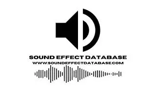 Walking On Beach Sound Effect