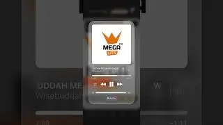 Mega Hits FM Portugal 2015 Wisebuddah 
