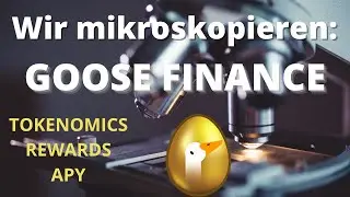 Goose Defi: Tokenomics, Rewards, APY, Formeln