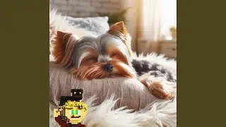 Calm Down Dog Part MCLXXXVII