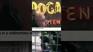 Chimpanzee learned how to talk? Joe Rogan