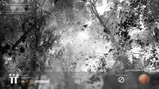 Battlefield 1 Highest Kill Streak?