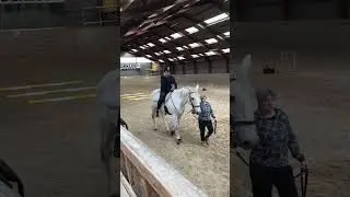 Langes&oslash; Egnens rideklub lavet til handicappede b&oslash;rn