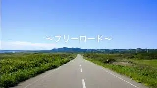 サバイ部  「フリーロード」 【Lyric Video】