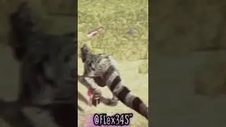 ⚔️