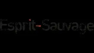 Team Esprit Sauvage (lien en description)