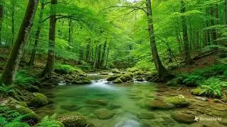 Beautiful nature mixed with beautiful music and flowing water is a delight to behold