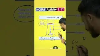 Activity 1.11 Class 10 Science |NCERT Activity Ch -1 Chemical Reactions & Equations |#shorts#class10