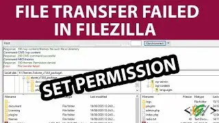 How to Fix Error Response 550 No Such File or Directory in FileZilla | File Transfer Failed