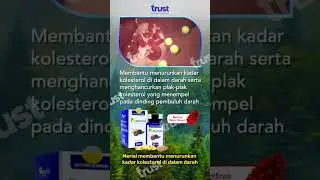 Merial Red Pine Korea - 3 Box Package