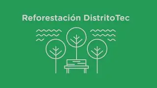 Reforestaci&oacute;n DistritoTec