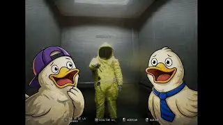Dos Patos Perdidos en los Backrooms