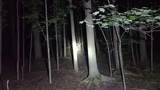 there are eyes there's shadows you can see things moving from behind the trees READ BELOW