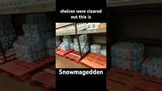 Panic Buying at the Grocery Store Before a Snow Storm