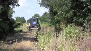 Napoleon, Defiance & Western Railway cleanup