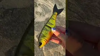 Perch Colorway on Throwback Baits Metro #custompaintedlures #bassfishing #fishinglife