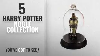 Top 10 Harry Potter Noble Collection [2018]: Noble Collection - Harry Potter pr&Atilde;sentoir pour