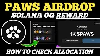 PAWS Airdrop: Solana OG Reward &ndash; How to Check Your Allocation! 🚀🐾