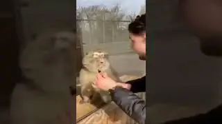 his reaction is amazing😂 | #shorts #comedy