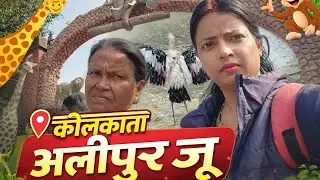 Kolkata alipore Zoological #kolkata #kolkatavlog #aliporezoologicalgarden #laxmibehera #shorts 