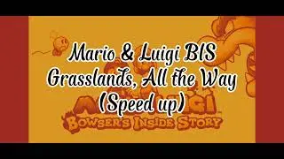 Mario & Luigi Bowser's Inside Story - Grasslands, All the Way (speed up)