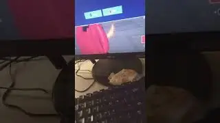 100xp