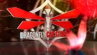 3d logo motion dragonfly car stroage