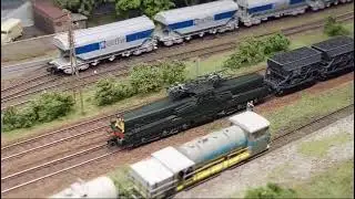CC 14005 Arnold