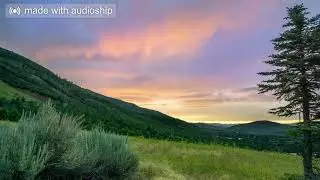 Arch Garrison - Oldest Road (Alex Wolf remix)
