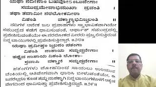 Shrimad Bhagwadgita 11th chapter 28th and 29th verses with meaning 