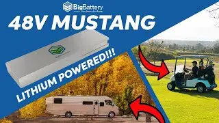 48V MUSTANG - Power & Performance Combined | Lowest Price Per kWh LiFePO4 Battery