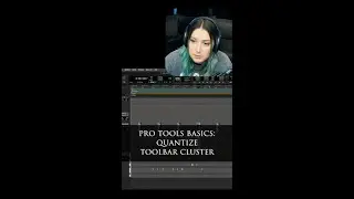 👉 Quantize Toolbar Cluster 📷 Cato Zane